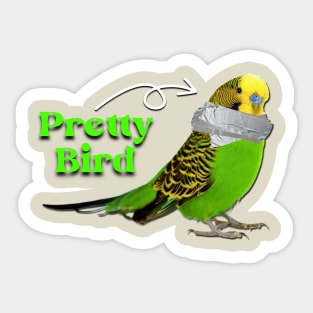 Pretty Bird Sticker